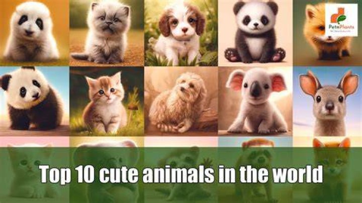 10 &yacute; tưởng cutest animal crossing island names cho ng&ocirc;i đảo của bạn