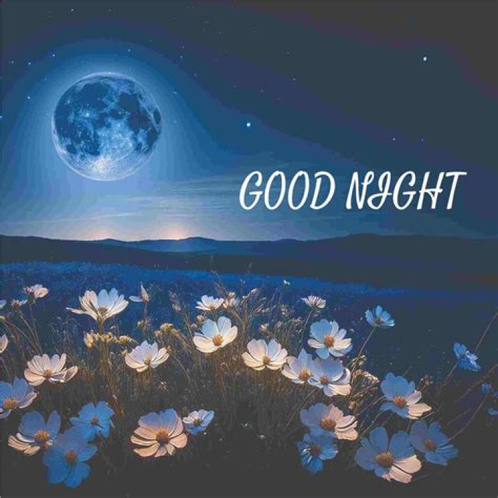[100+] Beautiful Good Night Images, Photos & Pictures 2021 Funky Life