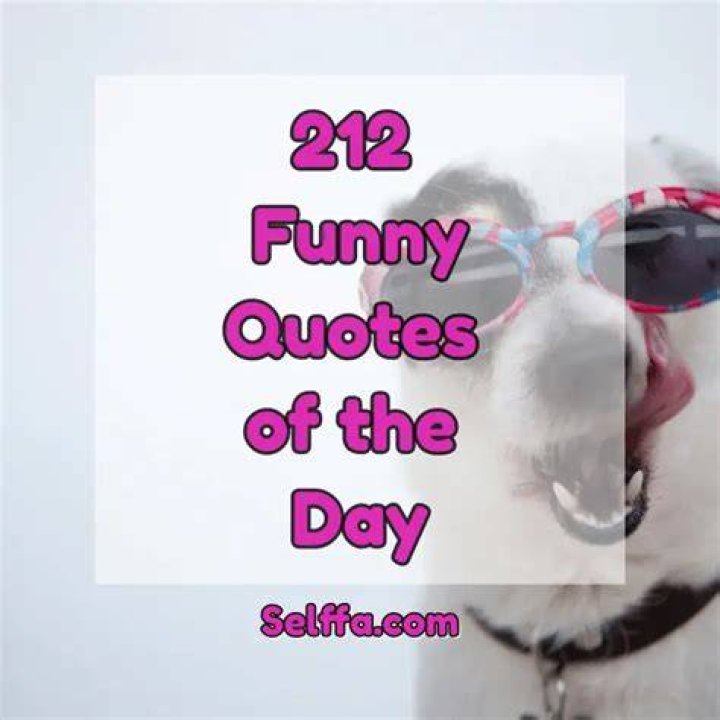 212 Funny Quotes of the Day SELFFA