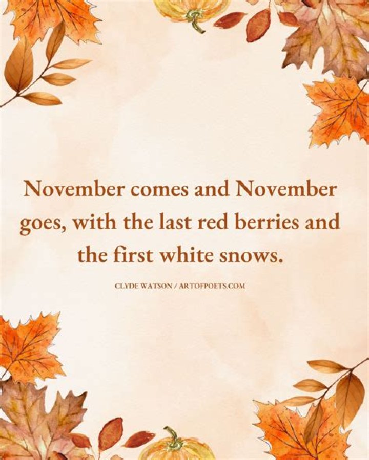 24 November Quotes That Will Make You Thankful for Fall November