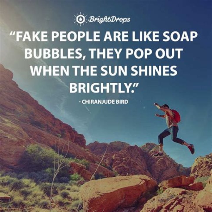 28 Relatable Quotes on Fake People Bright Drops
