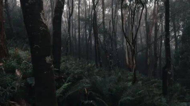 A Look Inside Controversial Wilderness Therapy Camps