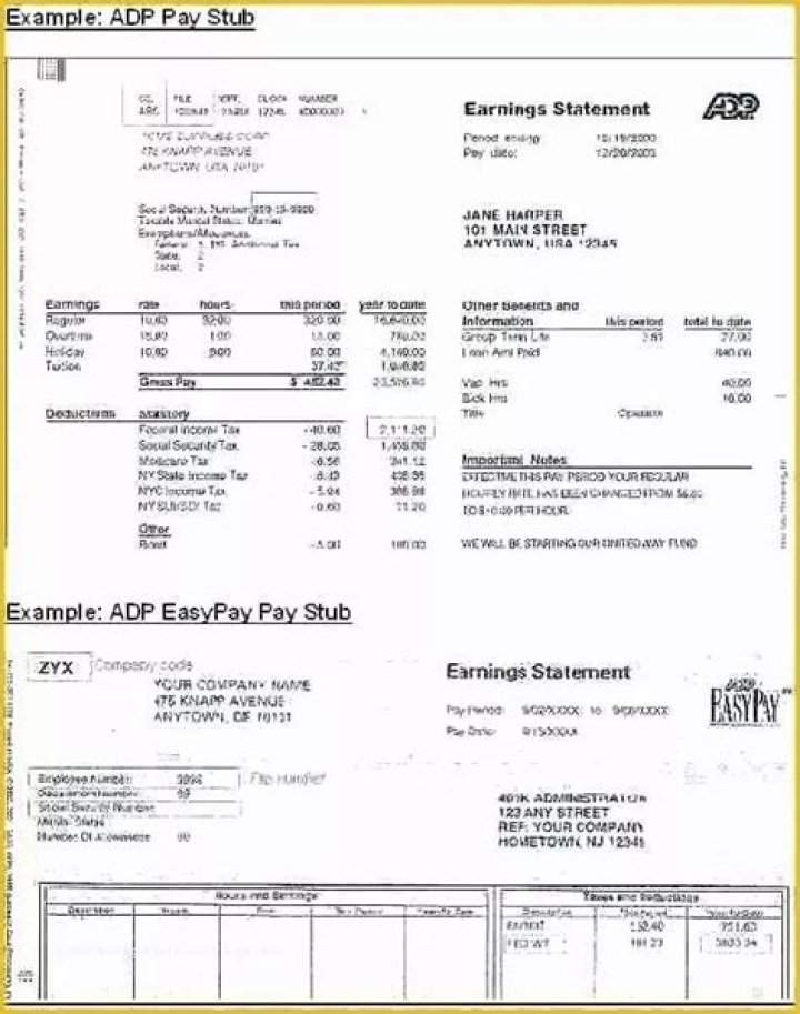 Adp Paycheck Stub Template