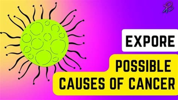 An Exploration Of Possible Causes