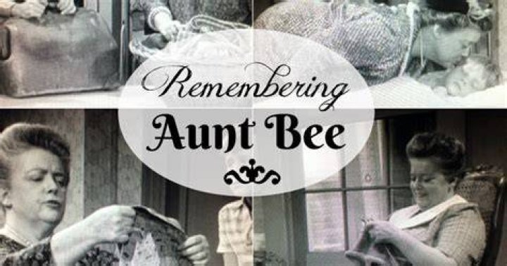 Aunt Bee Great Tv Shows, Old Tv Shows, Frances Bavier, Don Knotts, The