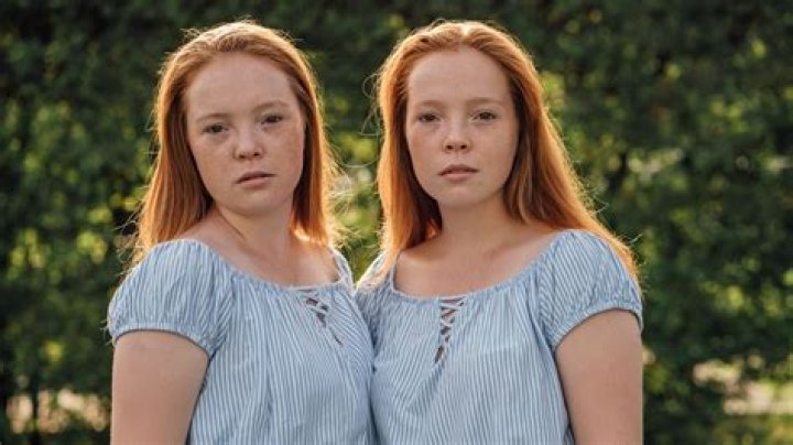 Bildergebnis f&uuml;r zwillinge Ein zwilling kommt selten allein, Filme