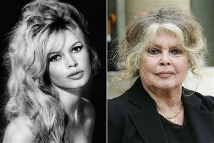 Božská Brigitte Bardot zenysostylom.sk