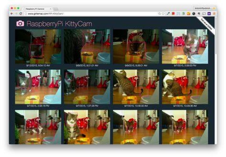 Camkittys Website