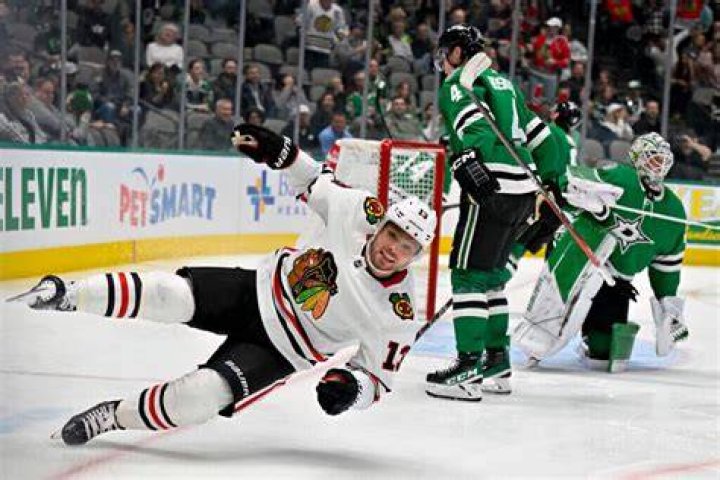 Dallas Stars Does Max Domi Have A Brother? Meet His Sister Carlin Domi