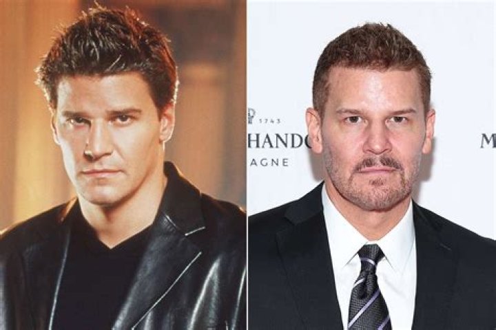 David Boreanaz How He Ended A Sexual Harassment Suit