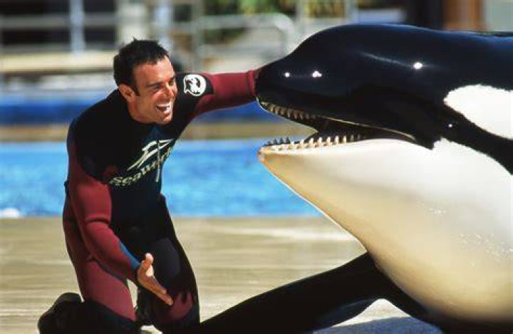 Dawn Brancheau Cause Of Death, SeaWorld Trainer, Husband, Age, Net Worth
