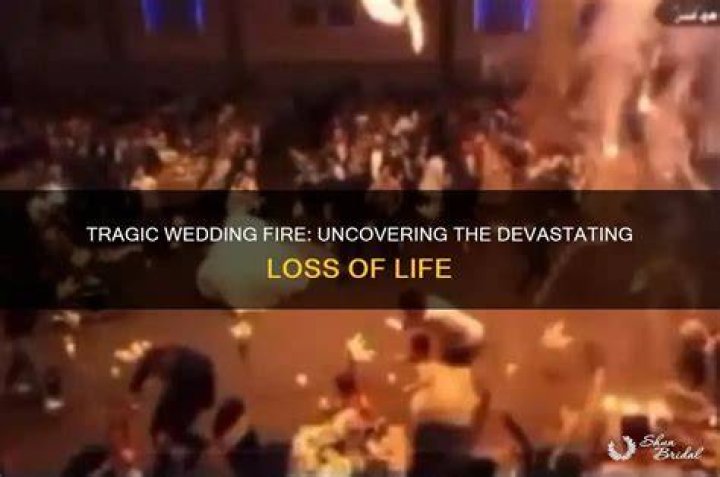 Devastating Loss: The Tragic Deaths Of The Scott Brothers