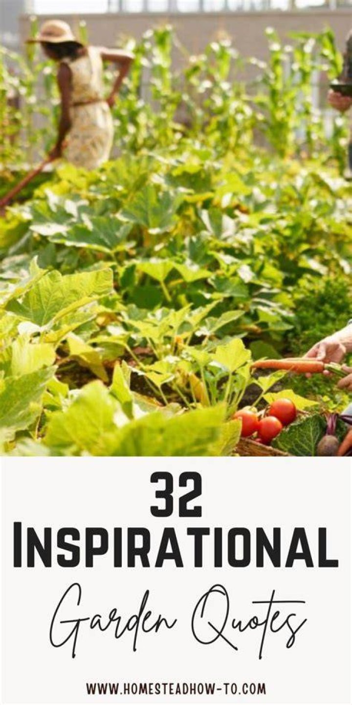 Discover Lordkebun On Instagram: Inspiring Gardening Content
