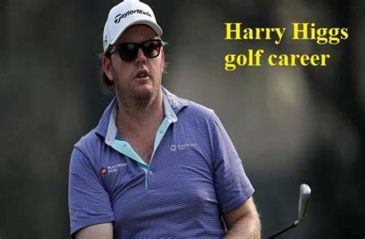 Discover The Staggering Net Worth Of Harry Higgs