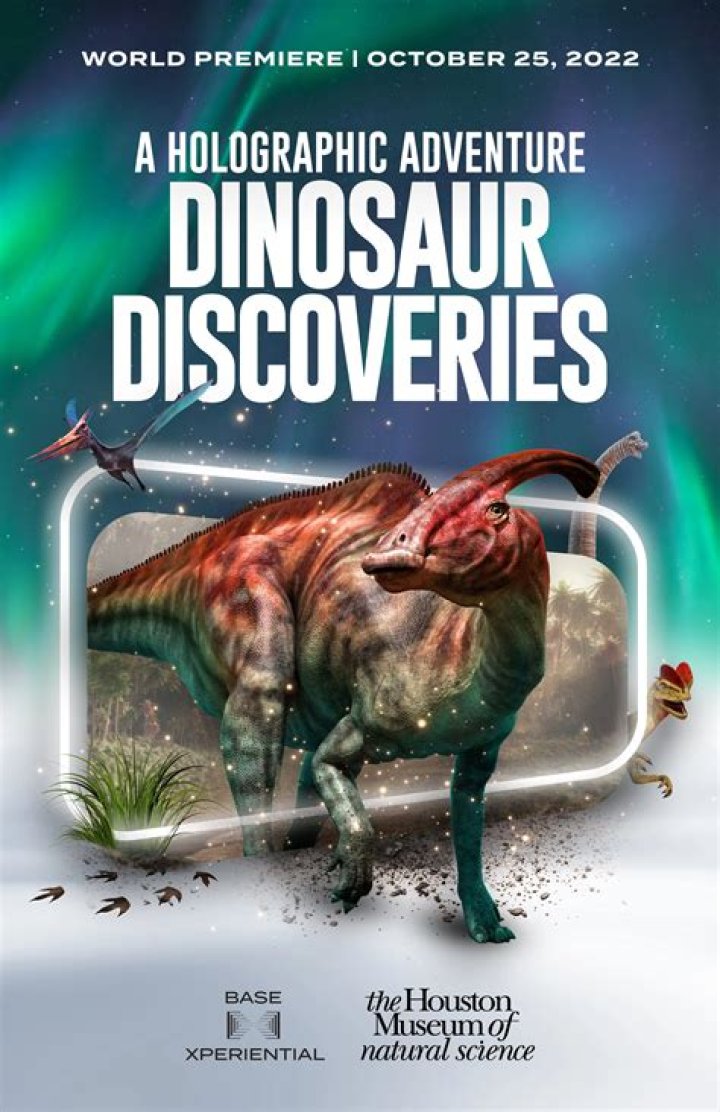 Discoveries And Insights For Creative Success