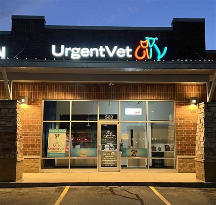 Emergency Vet — Vet Urgent Care — Paoli Vetcare