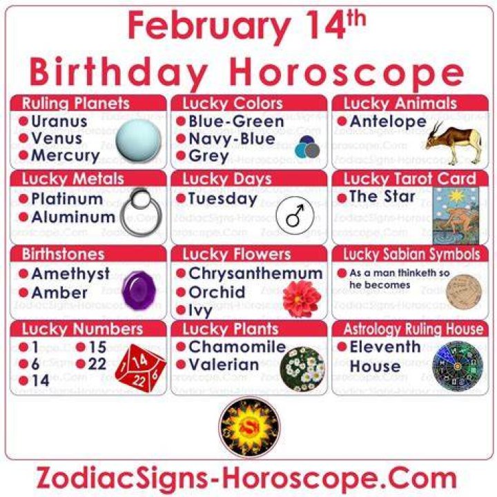 February 14 Zodiac (Aquarius) Horoscope Birthday Personality and Lucky