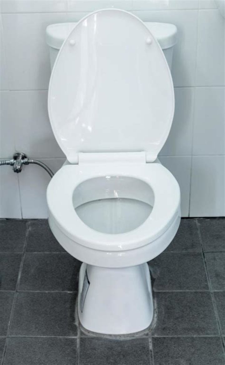 Flush Toilet Free Stock Photo Public Domain Pictures