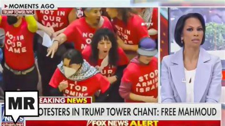 Fox Host Gives BRAINDEAD Take On NYPD's Failure To Catch Brooklyn