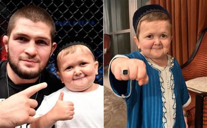 How old is Hasbulla Magomedov? UK WIRE