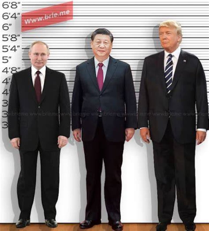 How Tall Is Putin? Unmasking The Russian Leader's Height!