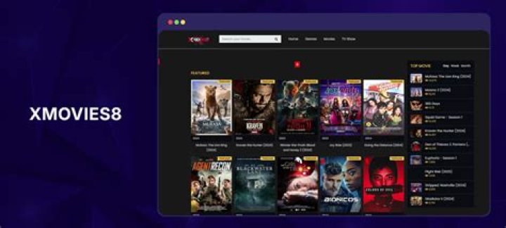 How to Install XMovies8 And Its Top 5 Alternatives