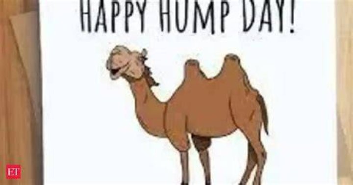 Hump Day Edition Why journalists love when you share our stories on
