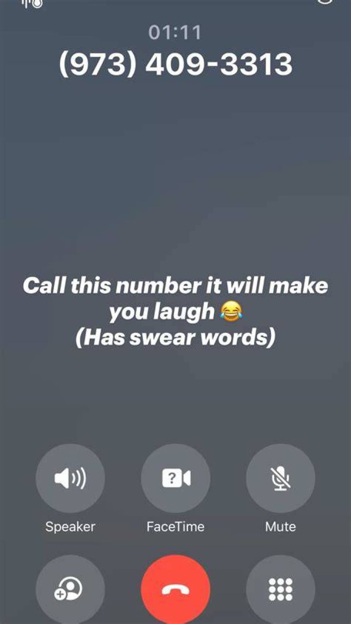 If You Call This Number, It Reads The Grinch Story To You Funny phone