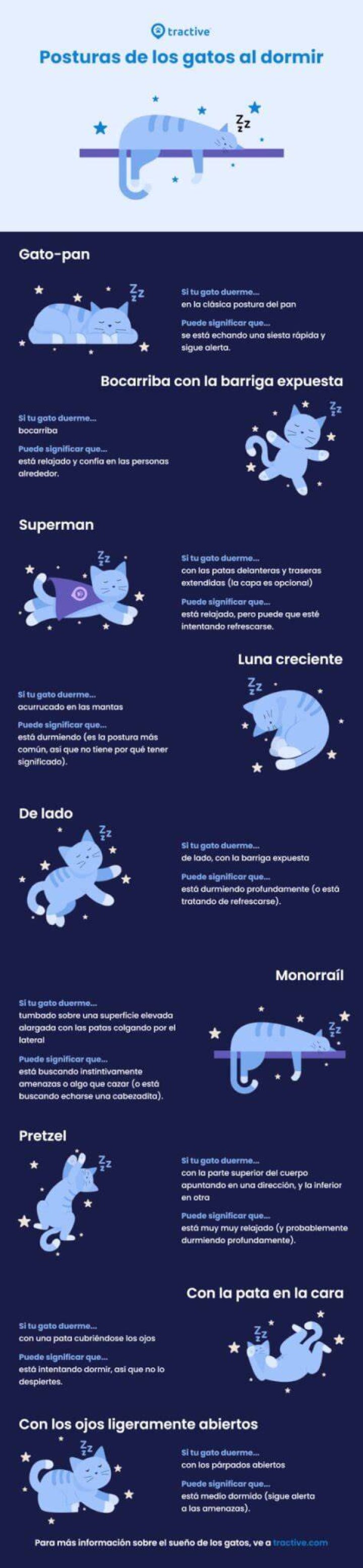 &iquest;Babeas al dormir? Conoce las posibles causas y cu&aacute;ndo acudir al m&eacute;dico