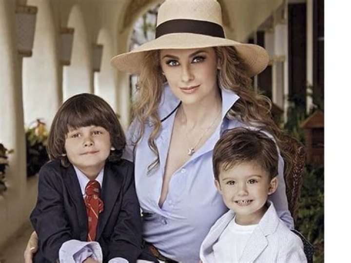 Las inesperadas declaraciones de Aracely Arámbula sobre los hijos que
