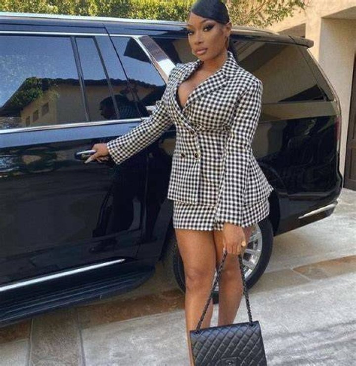 Megan Thee Stallion Net Worth, Age, Career, Wiki, Bio