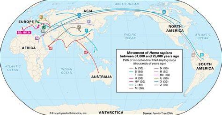 Migration MuseumTrent AlexanderArnold’s family history reveals complex