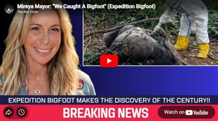 Mireya Mayors Lips on Expedition Bigfoot Have People Wondering If Shes Ever Had Plastic