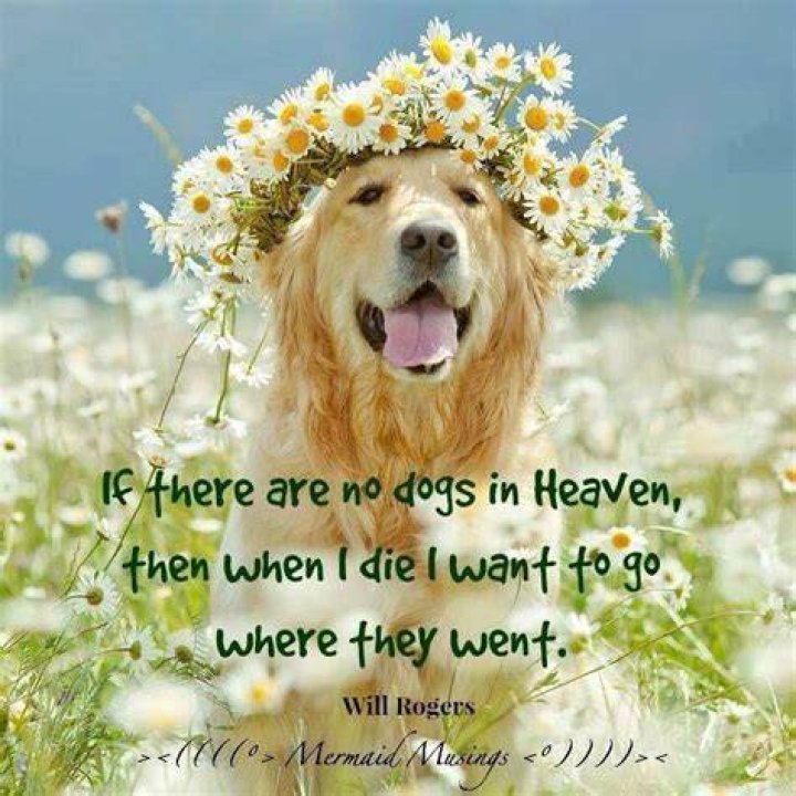 Pin by Marilyn Mohrhaus on Dr. Quinn Memories Dr quinn medicine woman