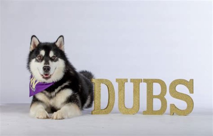 Pin on DUBS did it Better! 2x NBA Champions