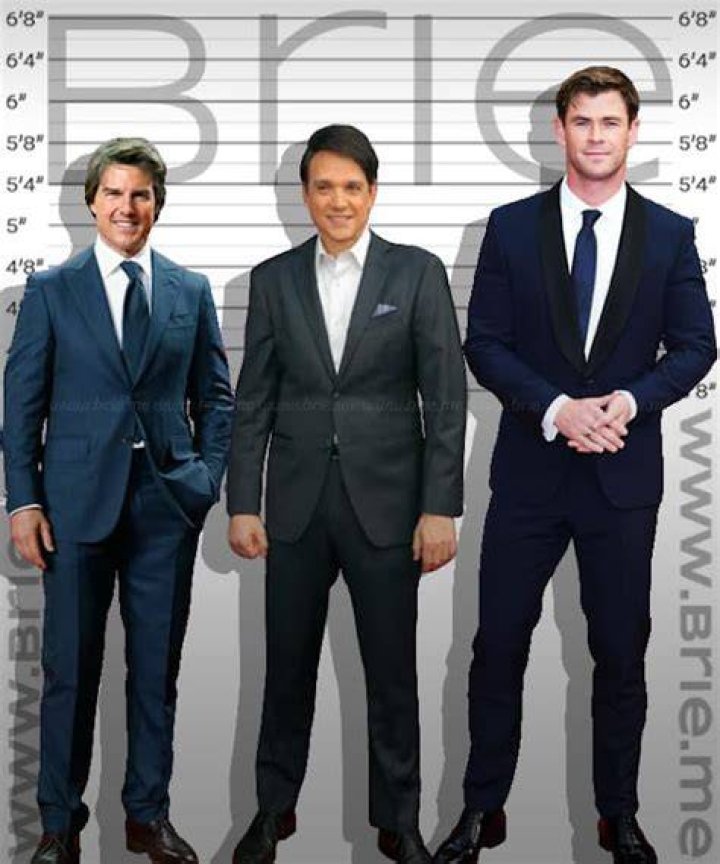 Ralph Macchio Height Brie
