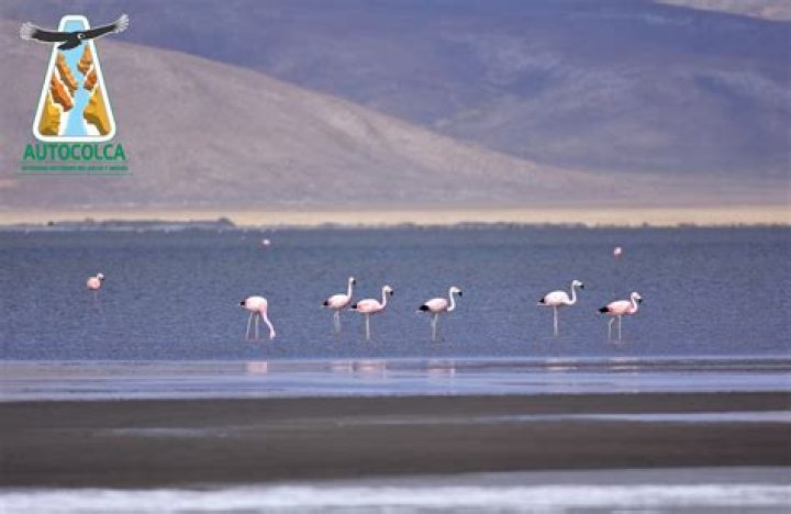 Salinas tiene una importante razón para reducir dos tallas más
