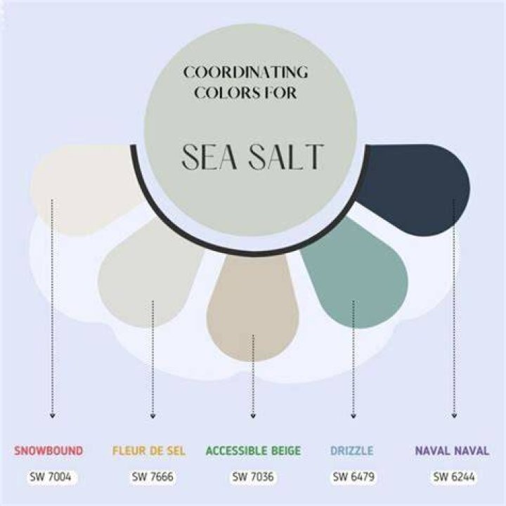Sea Salt Coordinating Colors