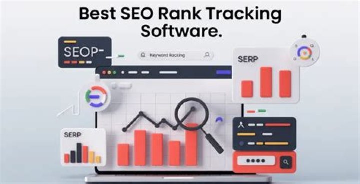 SEO Rank tracking or position tracking websiteTOON academy SEO