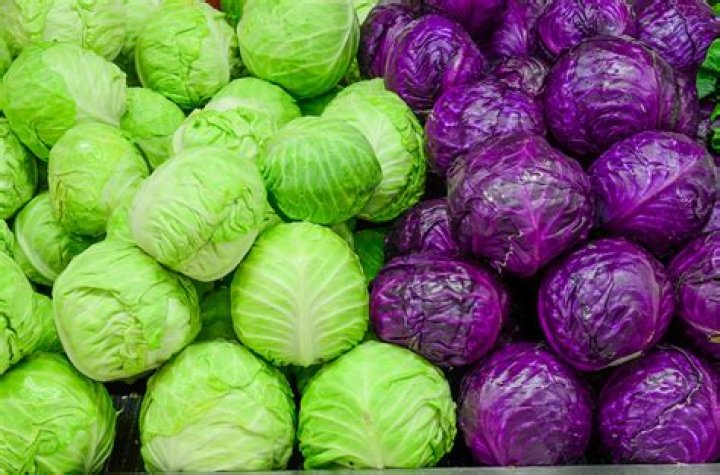 Superfood of the Month Cabbage Lexington Medical Center Blog LexWell