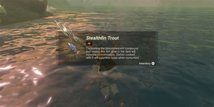 The Ultimate Guide To Stealthfin Trout: Unlocking The Secrets Of Catching The Elusive Predator