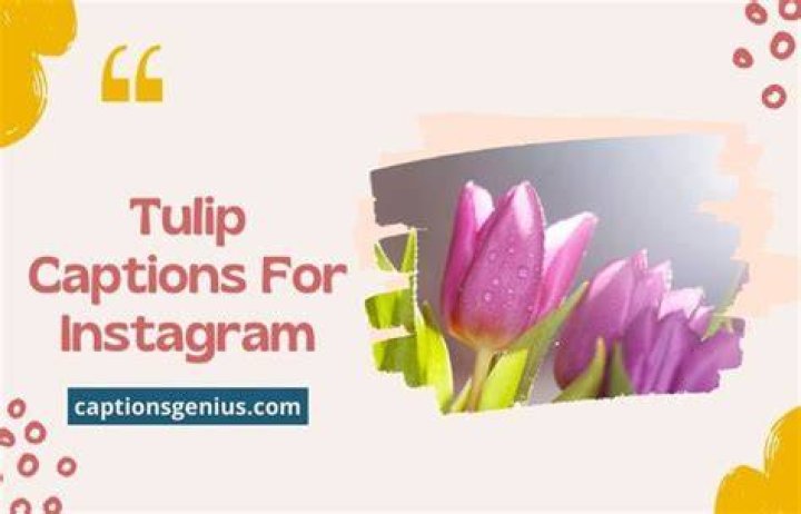 Tulip Captions For Instagram: Captivating Words To Bloom Your Posts