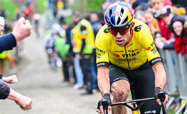 Uncovering The Enchanting World Of Wout Van Aert's Life Partner