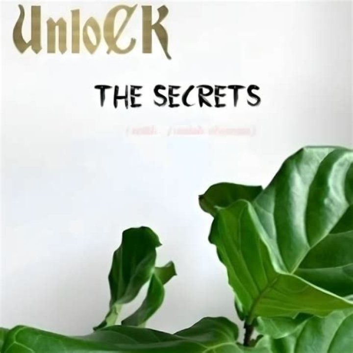 Unlock The Secrets: Matthew Rondeau's Age Revealed
