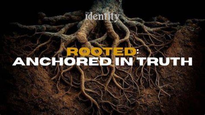 Unraveling The Truth: Is Project X Rooted In Reality?