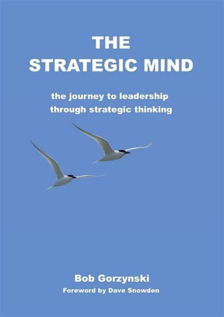 Unveiling The Strategic Mind Of Clare Selgin Wolfowitz: Insights And Revelations