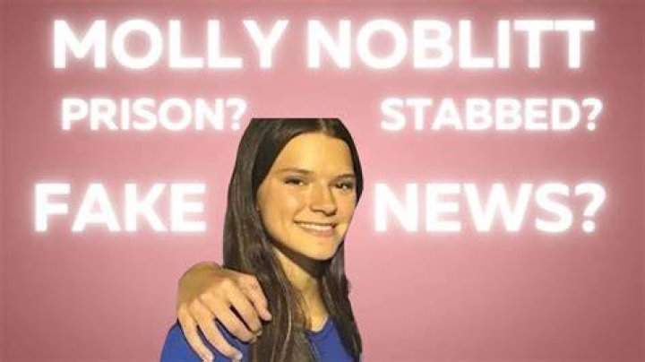 Was Molly Noblit Charged? | Legal Consequences For Minor Theft