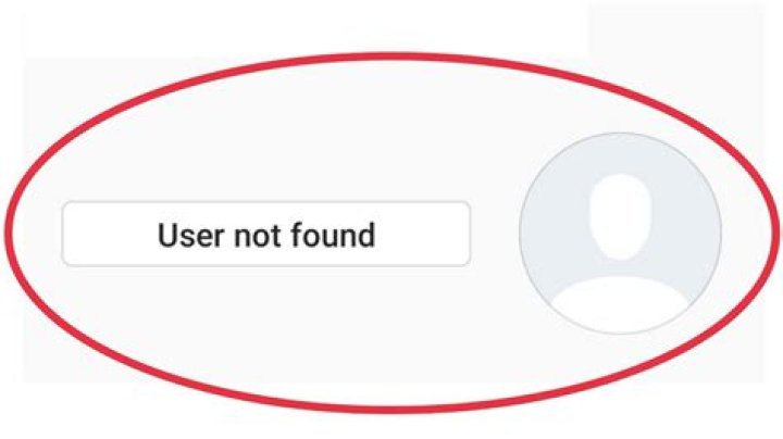 What Does User Not Found Instagram Error Mean? [Explained 2022]