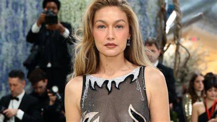Who are Gigi Hadid's halfsiblings? The US Sun