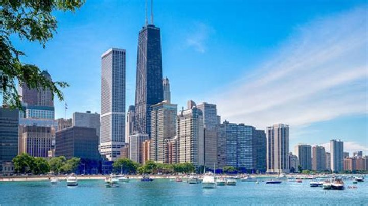 Who Is in the Chicago P.D. Cast? Every Actor In Season 11 NBC Insider